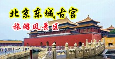 好骚的屄中国北京-东城古宫旅游风景区